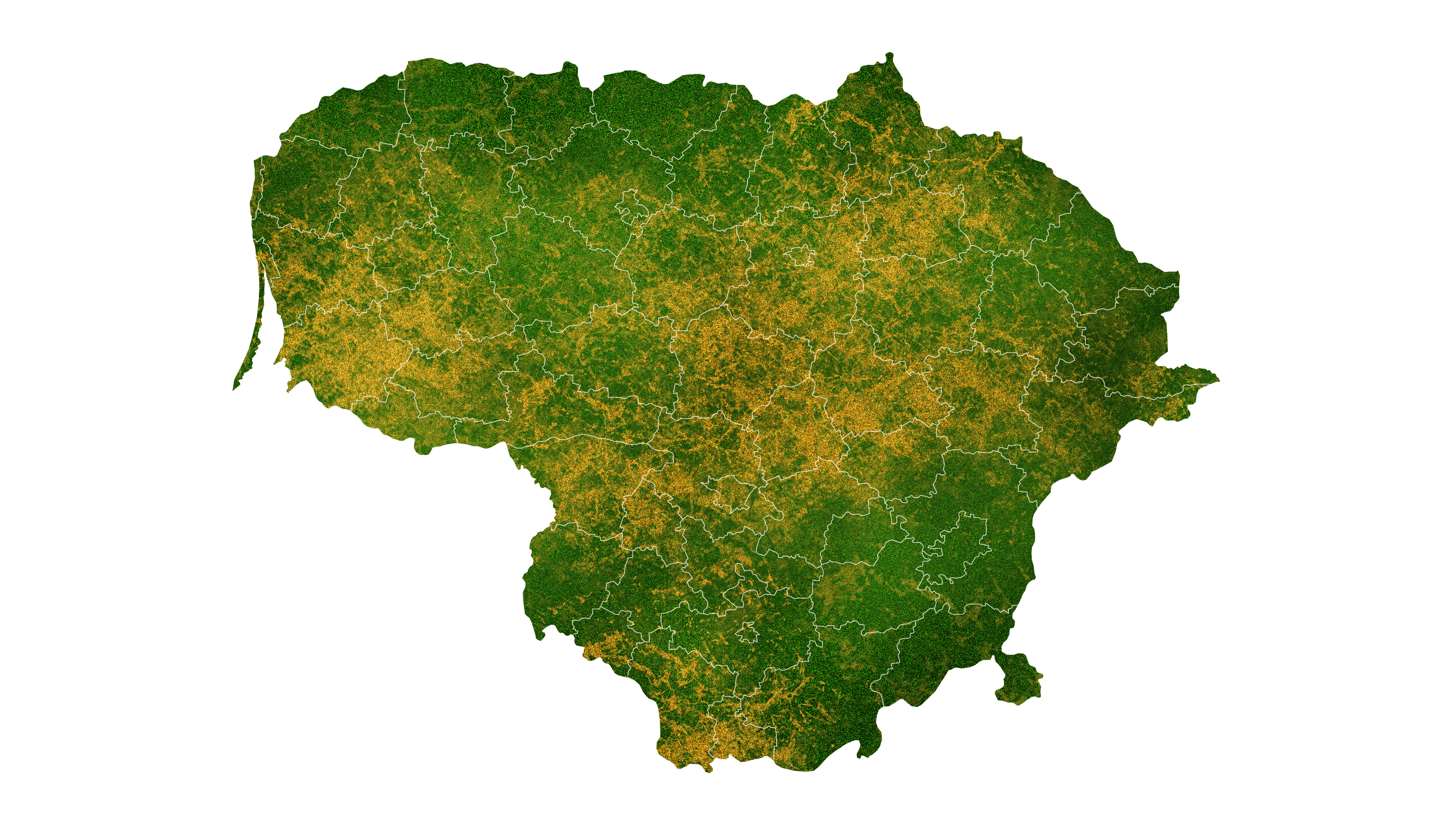 Lietuvoje